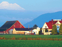 Image of a farm