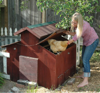 woman with chickens