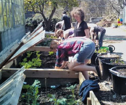 Student workparty on the farm