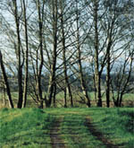 The Delta Farm in the lower Dungeness River valley