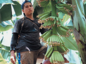 man and bananas