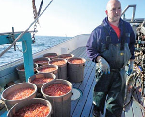 shrimp fisherman