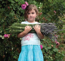 kid holding lavender