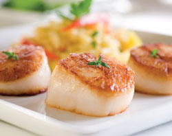 scallops