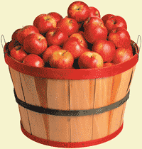 Basket of apples