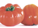 Brandywine heirloom tomato