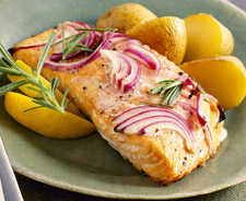 Salmon