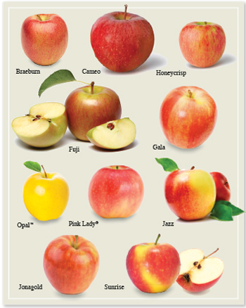 Apple chart