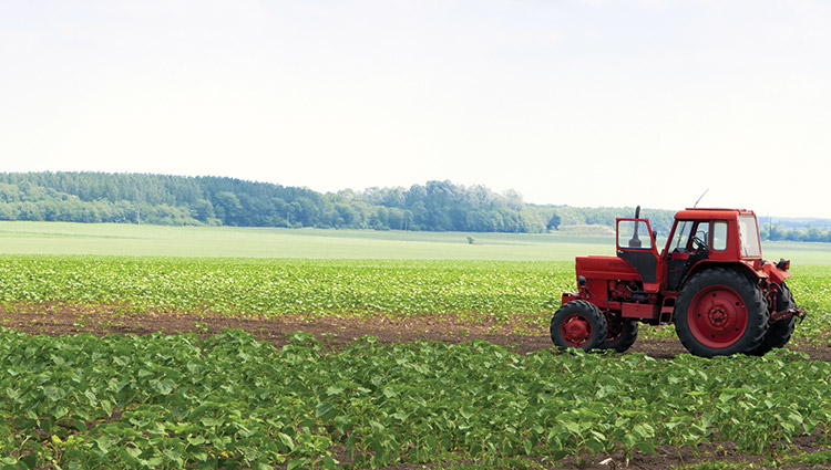 Do we need to double food production?