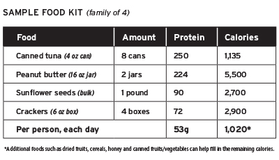 Table of sample food kit