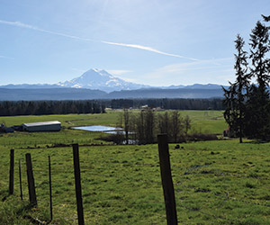 284-acre mountain view dairy farm land