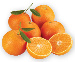 Oranges