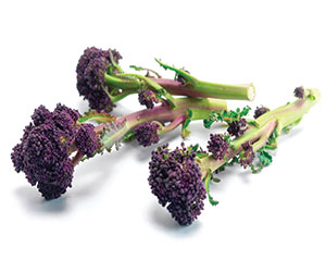 organic purple sprouting broccoli