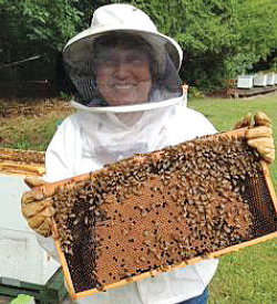 Beekeeper