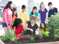 Seattle Children's Organic Garden