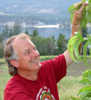 Bob Berryman, Twin Springs Farms