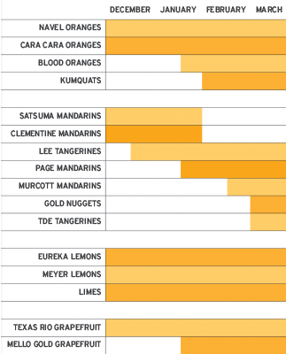 citrus season