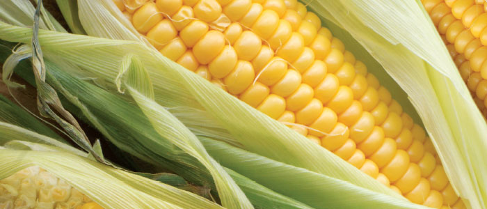 corn