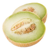 galia melon