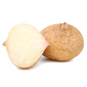 jicama