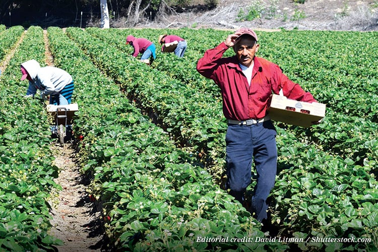 farm migrant workers