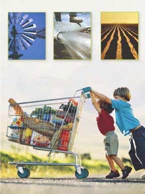 Boys pushing shopping cart