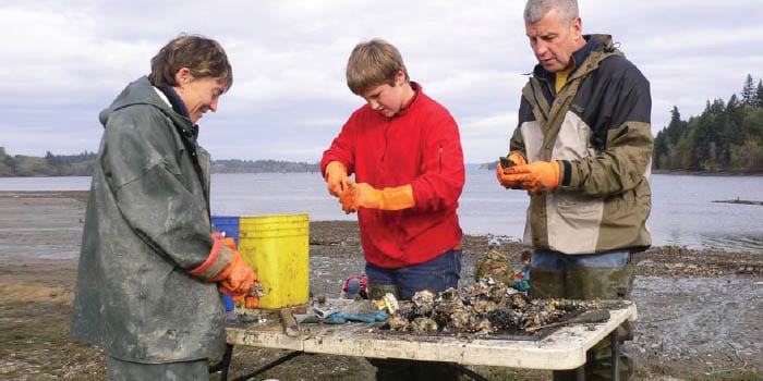 shellfish garden