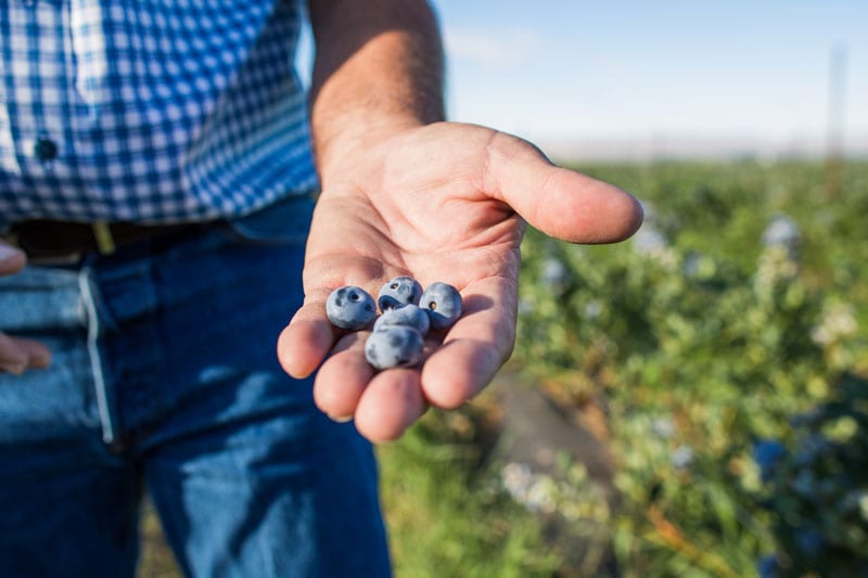 Honest & Transparent Products