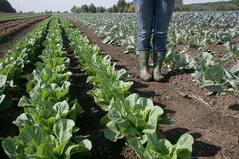 Public Policy Statements