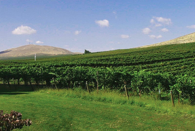 badger mountain winery