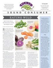 Sound Consumer, July 2014