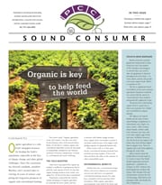 Sound Consumer, June 2016