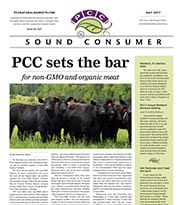 Sound Consumer, May 2017