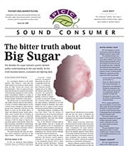 Sound Consumer, July 2017