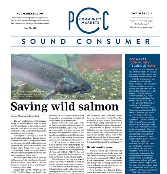 Sound Consumer, October 2017