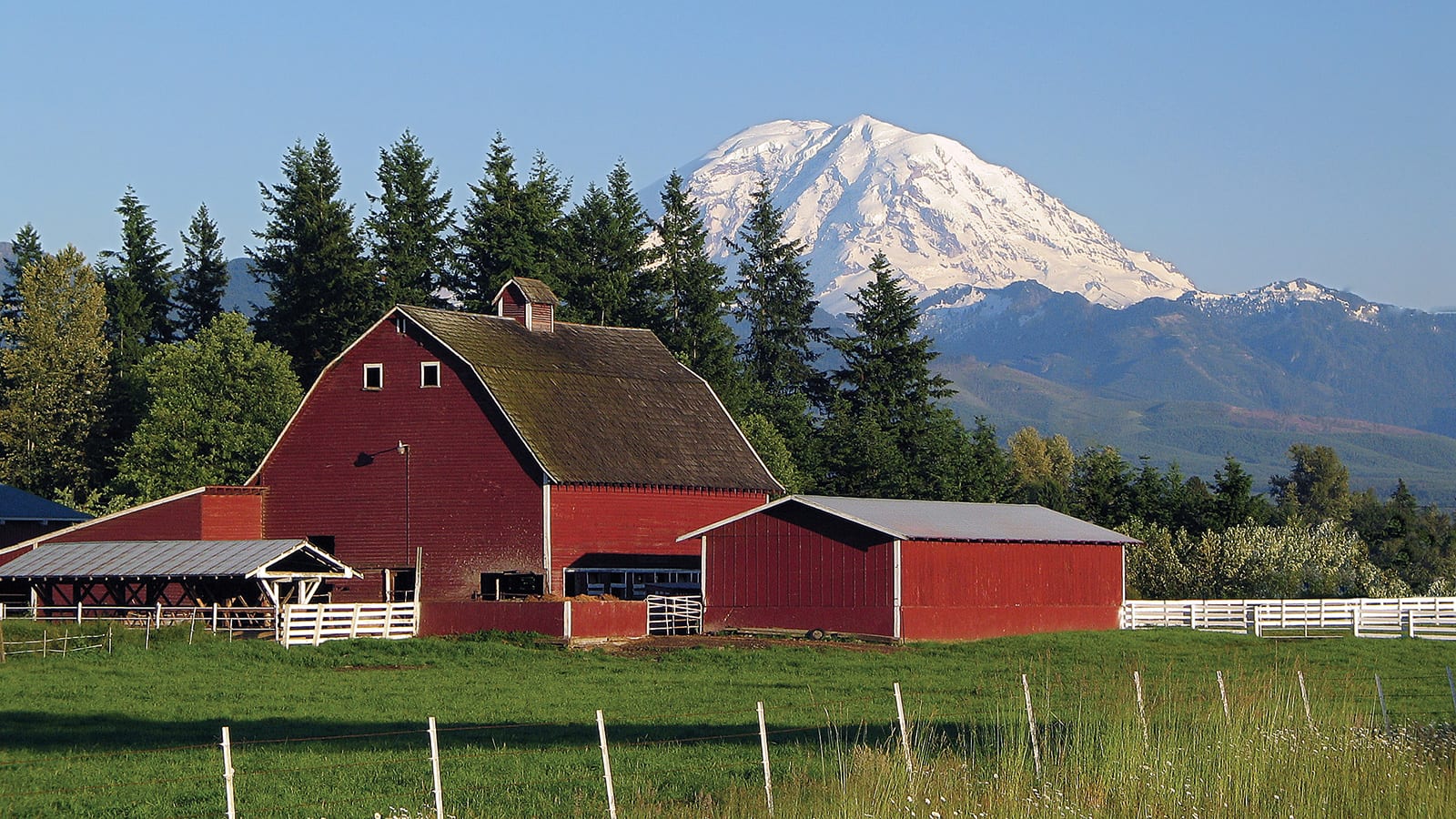 farm near mount rainier washington