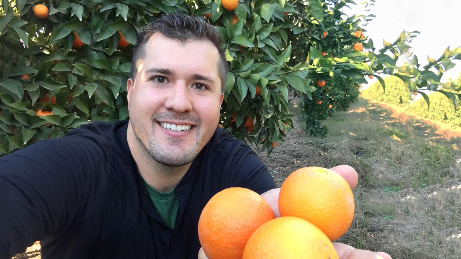 cj buxman citrus grove