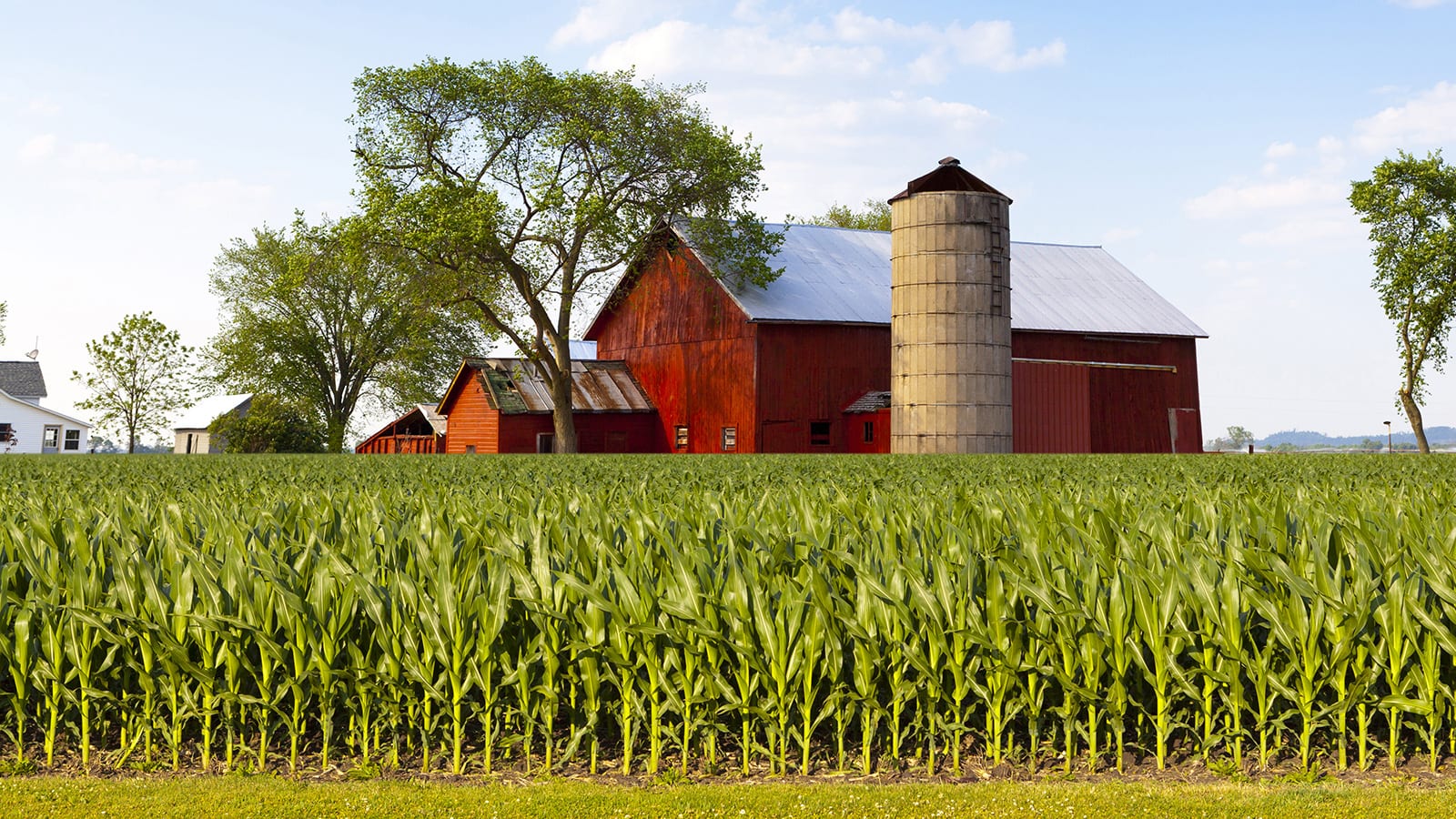 farm landscape with barn