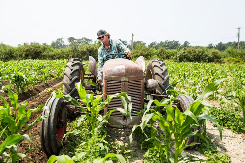 farmer on tractor