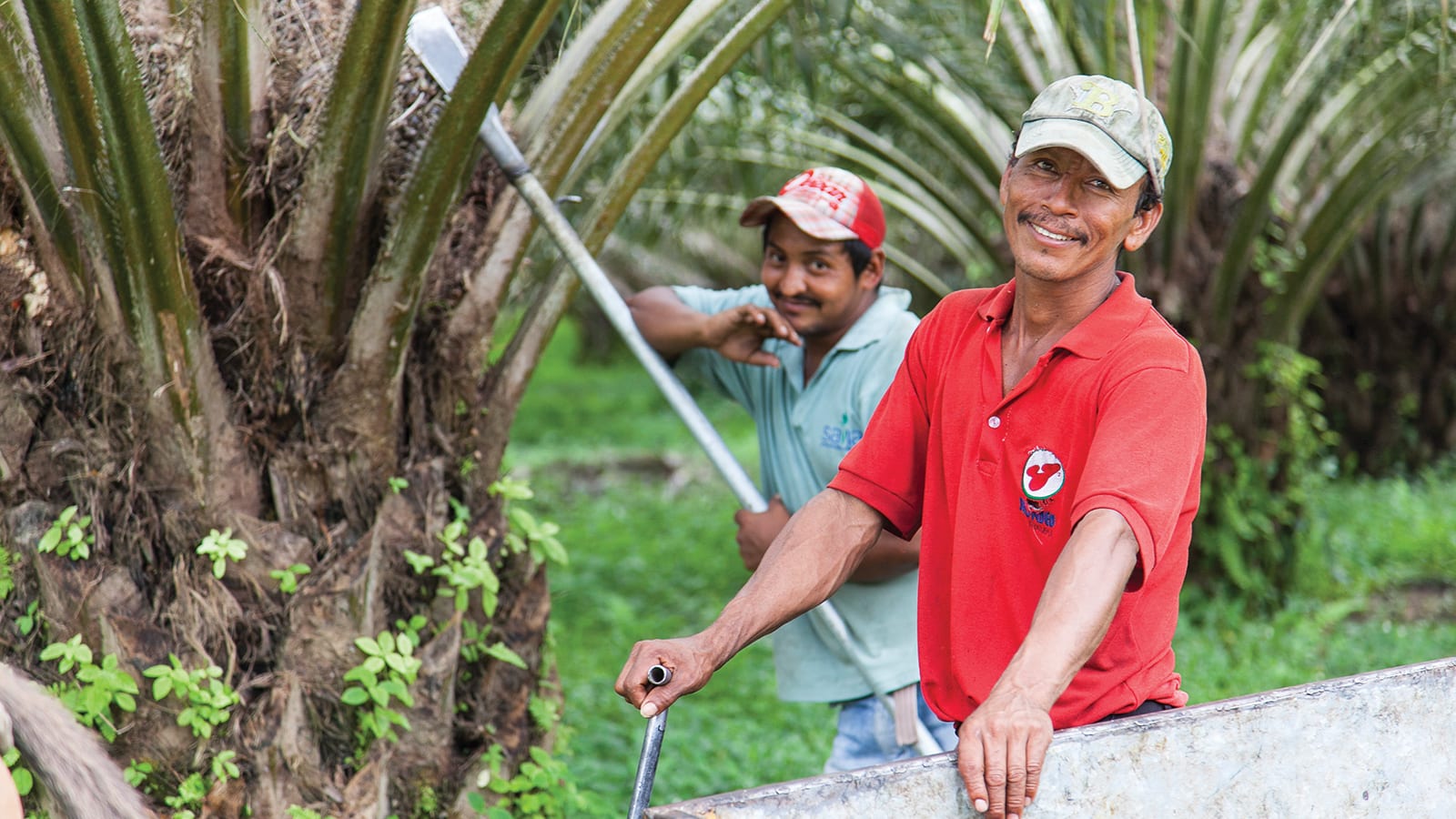 palm done right men in the palm field