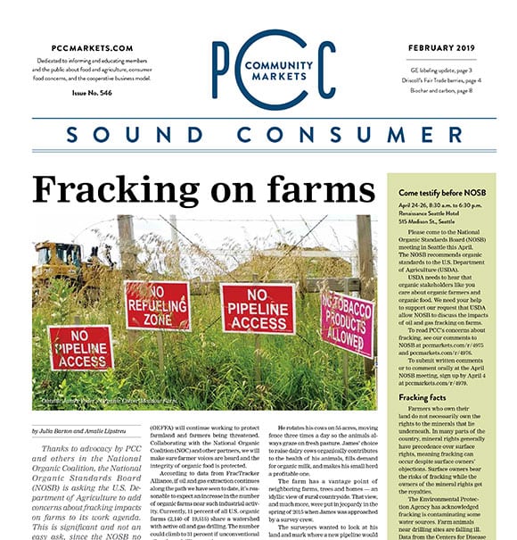 Sound Consumer, February 2019 | Issue No. 546