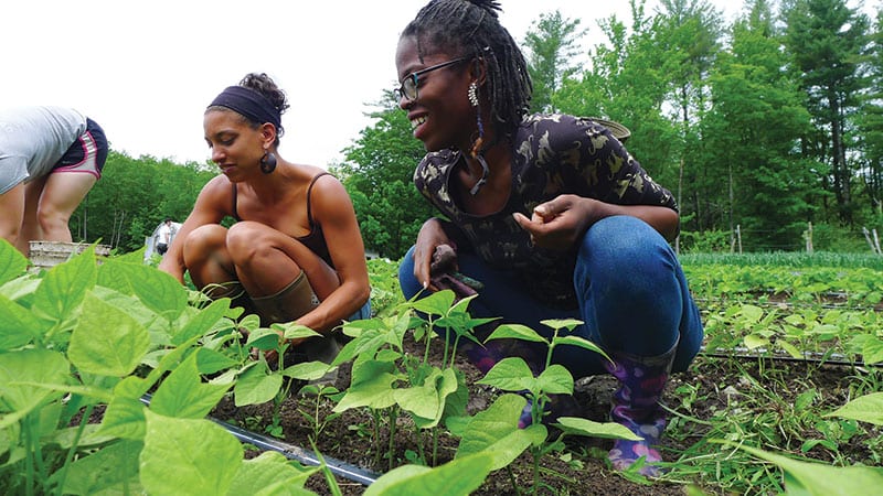 Tending crops at Soul Fire Farm/Photo by Neshima Vitale-Penniman.