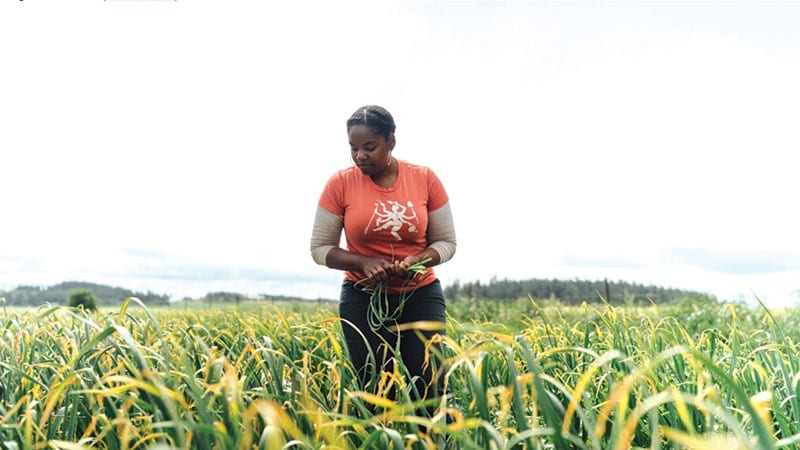 Melony Edwards at work/photo by Mere Hunter.