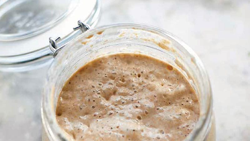 Jar of sourdough starter. Photo credit: Jim Henkens/Sasquatch Books