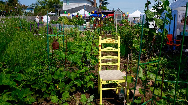 Ballard P-patch community garden.