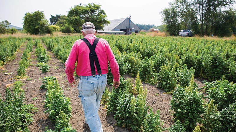 Nash Huber walking through his field