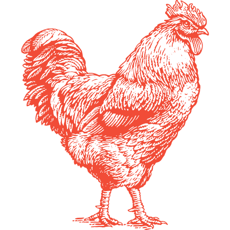 brand orange chicken illustration for light backgrounds