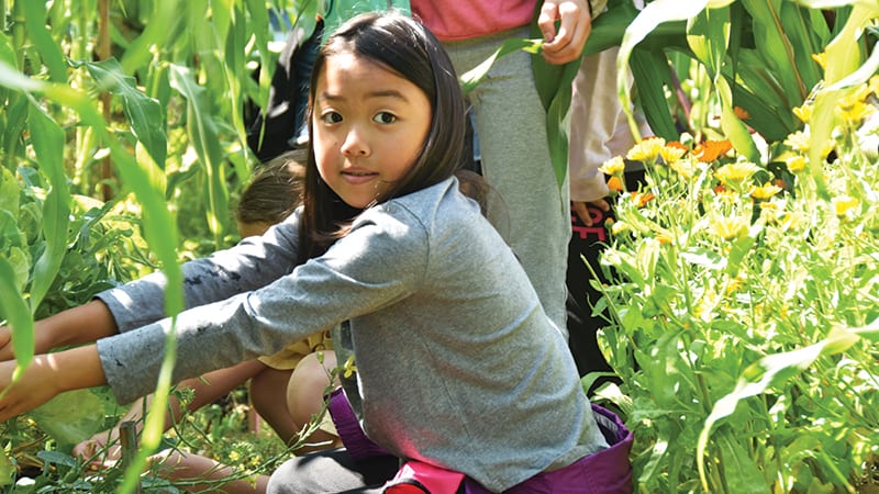 Young girl in a garden