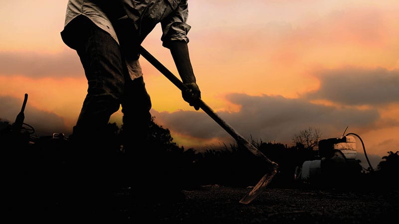 Farmworker working late