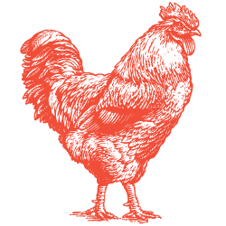 Brand Orange chicken